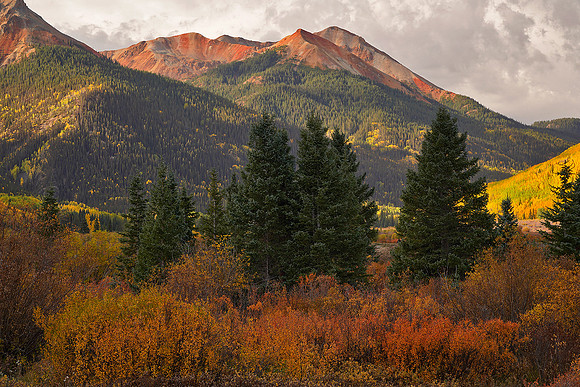 Fall Colors 245