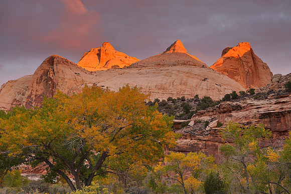 Capitol Reef National Park 6