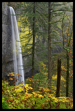 Latourell Falls 6