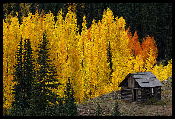 Fall colors 4