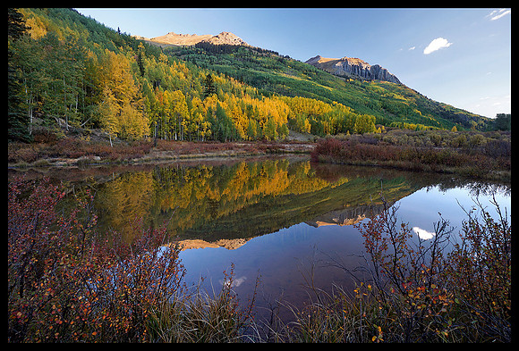 Fall colors 1