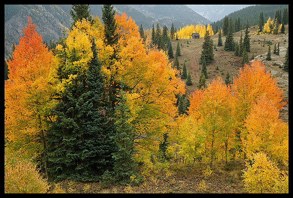 Fall colors 5