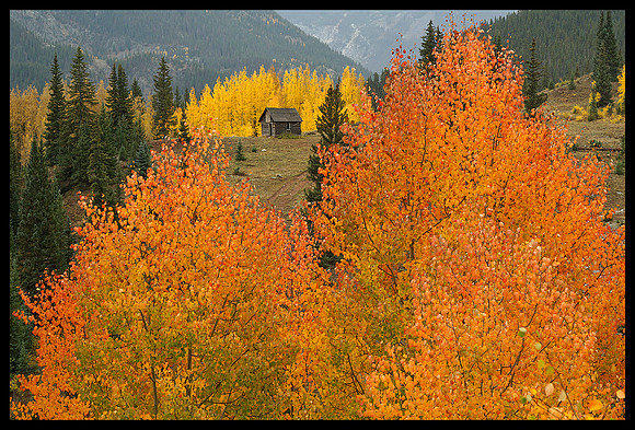 Fall colors 6
