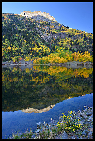 Fall colors 8