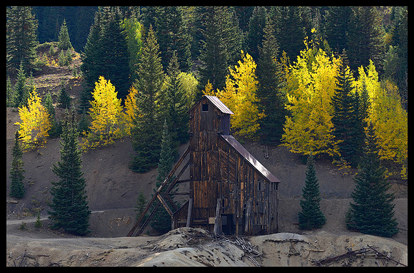 Fall colors 9