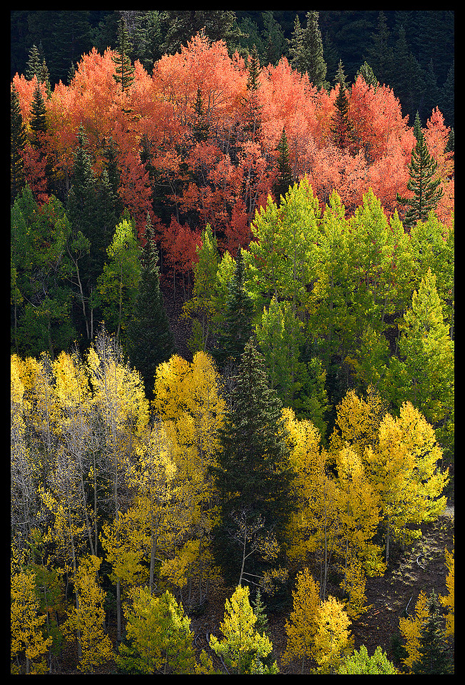 Fall colors 10