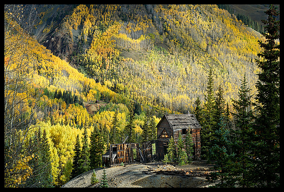 Fall colors 14