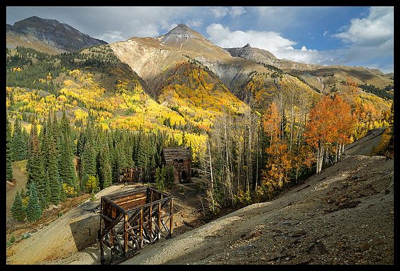 Fall colors 15