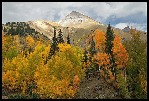 Fall colors 16