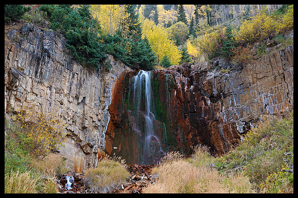 Fall colors 18, CO
