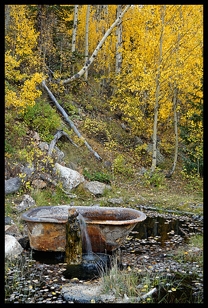 Fall colors 20