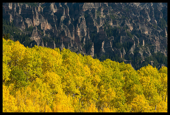 Fall colors 24