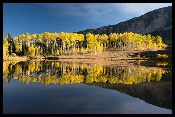 Fall colors 30, CO