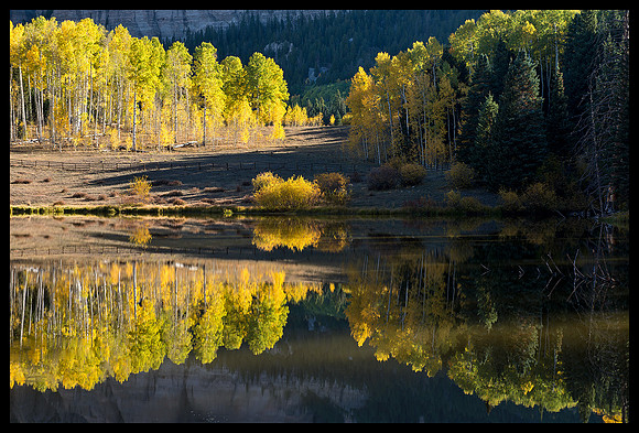 Fall colors 31