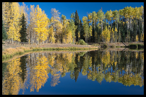 Fall colors 32