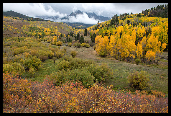 Fall colors 33