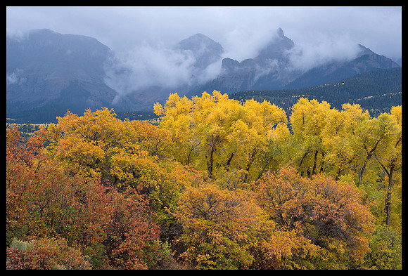 Fall colors 34