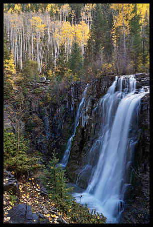 Fall colors 36, CO