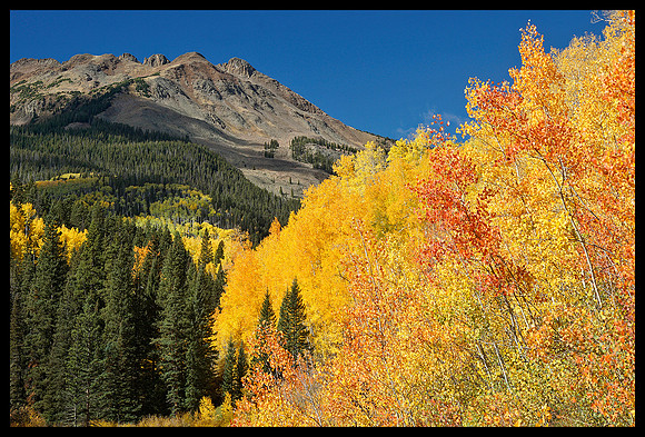 Fall colors 38