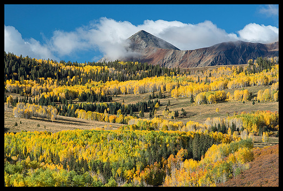 Fall colors 39