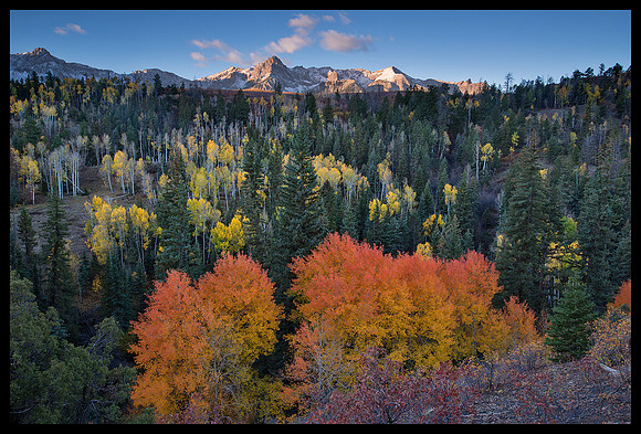 Fall colors 43