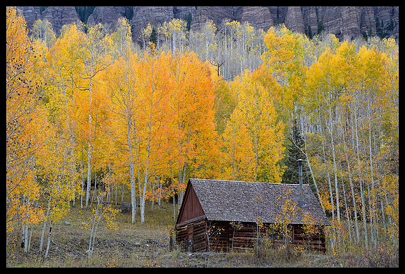 Fall colors 49