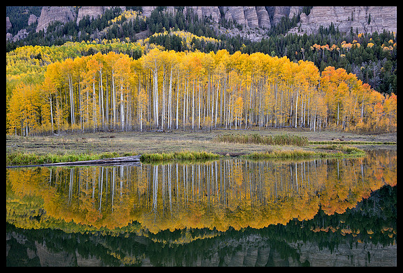 Fall colors 52