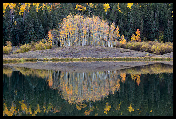 Fall colors 53