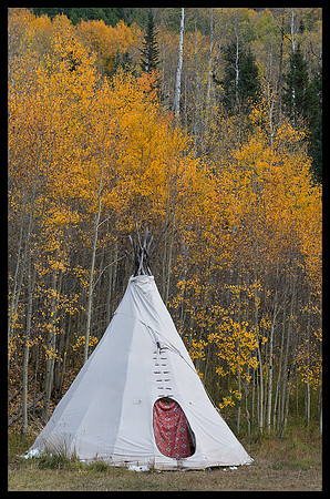 Fall colors 56