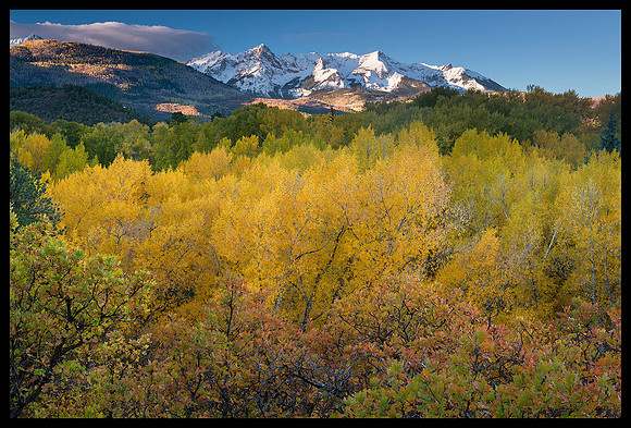 Fall colors 60, CO