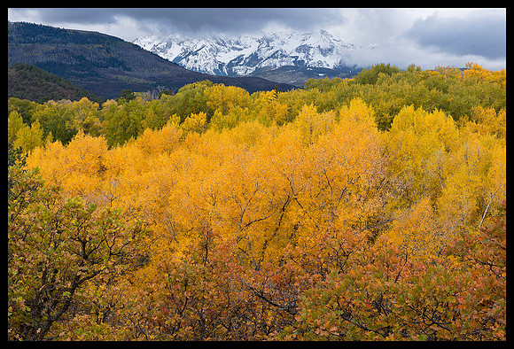 Fall colors 63