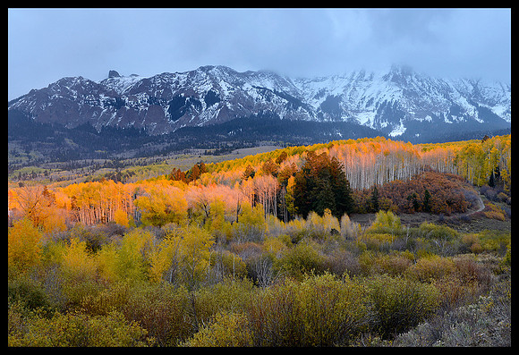 Fall colors 64