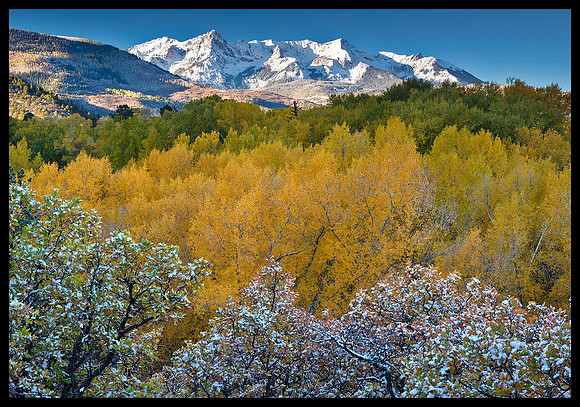 Fall colors 66, CO