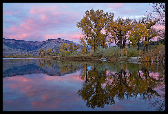 Fall colors 67