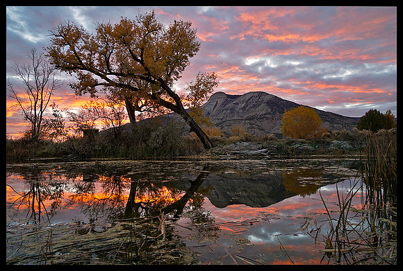 Fall colors 71