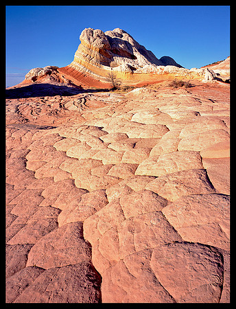 White Pocket (P219)