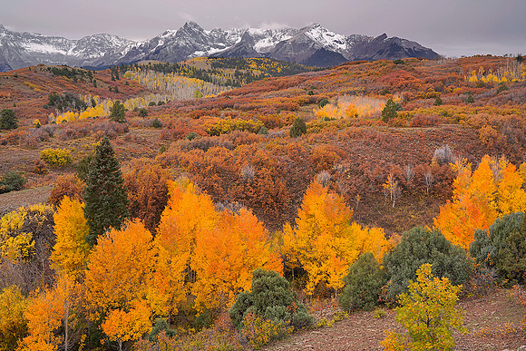 Fall Colors 109