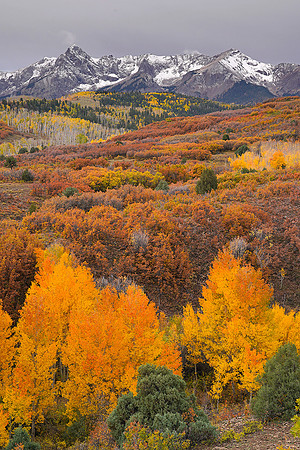 Fall Colors 111