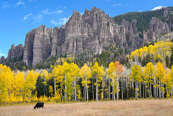 Fall Colors 116