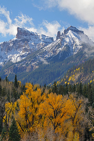Fall Colors 117