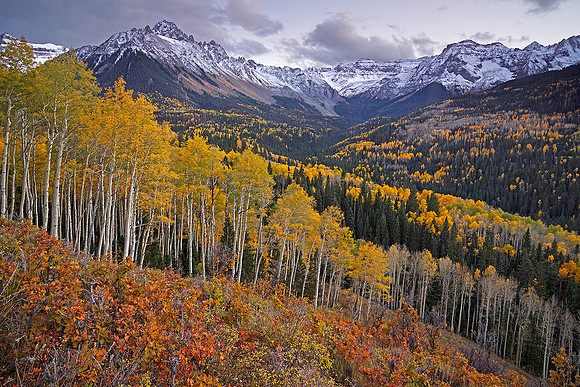 Fall Colors 121