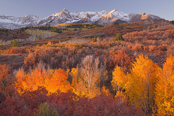 Fall Colors 124