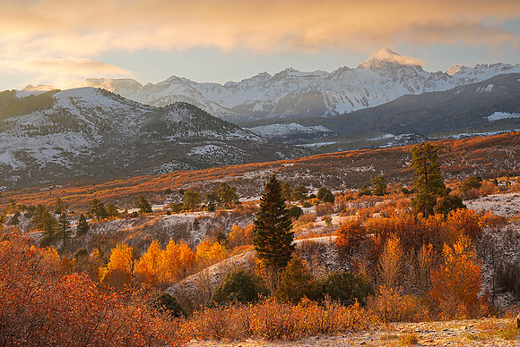 Fall Colors 135