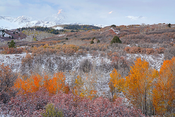 Fall Colors 133