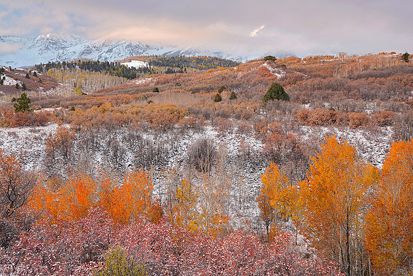 Fall Colors 134, CO