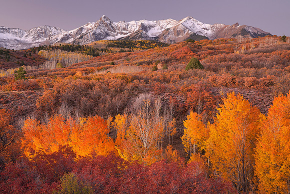 Fall Colors 123