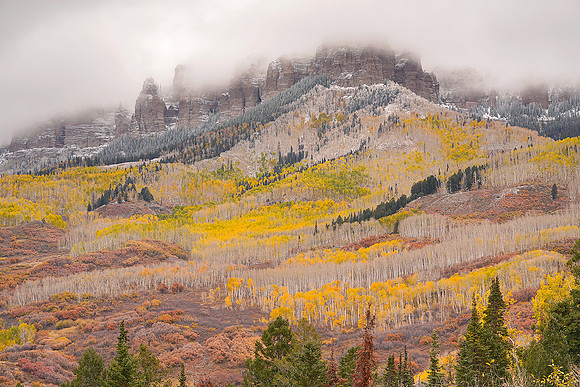 Fall Colors 132