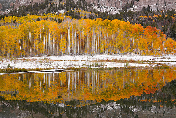 Fall Colors 126
