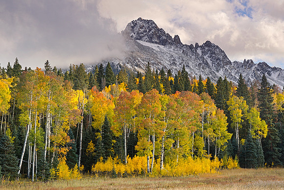 Fall Colors 120