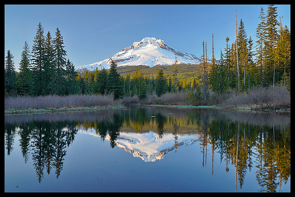 Mount Hood reflection